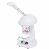 Ms. Mini Steamer